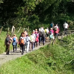 plus-55-2025-s plus-55-2025-s