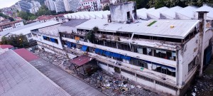 zardoya-ikuspegia zardoya-ikuspegia